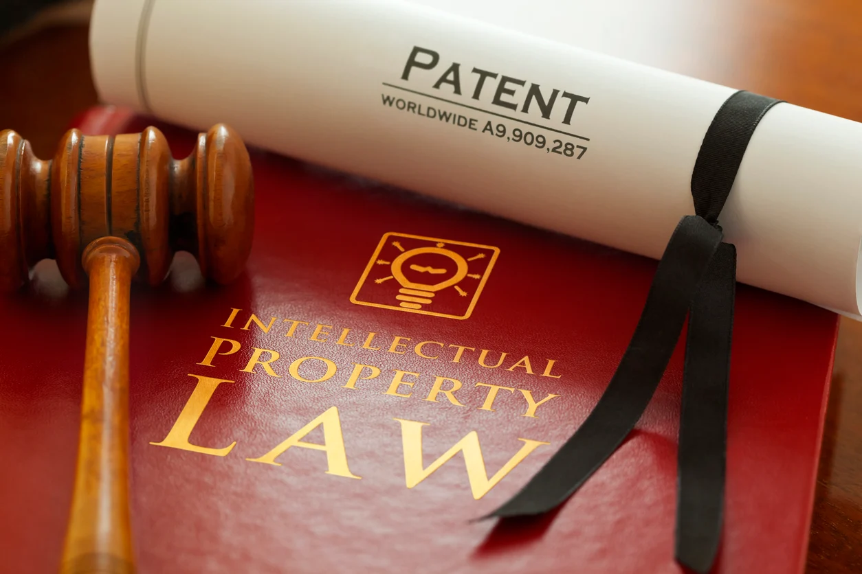 Intellectual Property Rights